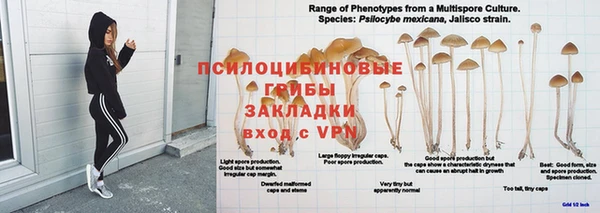 ешки Пестово