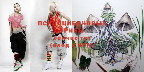 твердый Переславль-Залесский