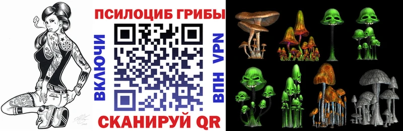 Галлюциногенные грибы MAGIC MUSHROOMS  Купить где  Зея 